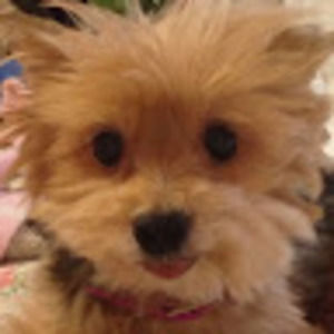 Meet your Posher, Judy